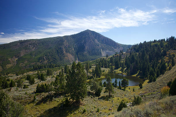 Yellowstone Landscape stock photo