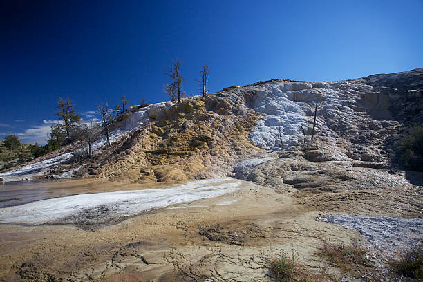 Mammoth Hot Springs stock photo