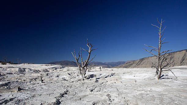 Mammoth Hot Springs Landscape stock photo