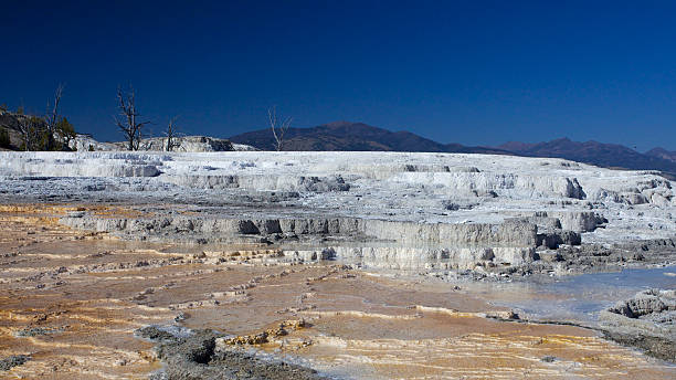 Mammoth Hot Springs stock photo