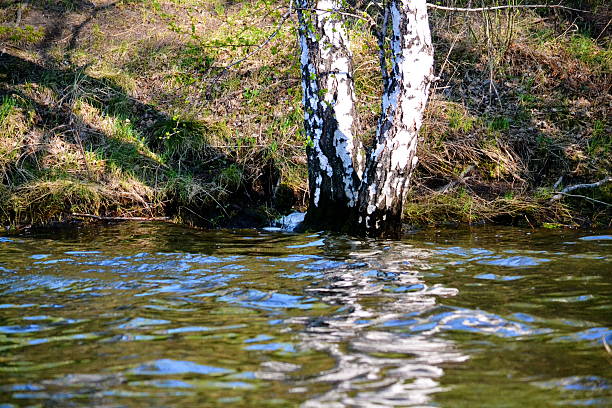 Nature Altaya stock photo