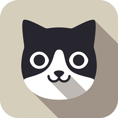 cat face flat icon series