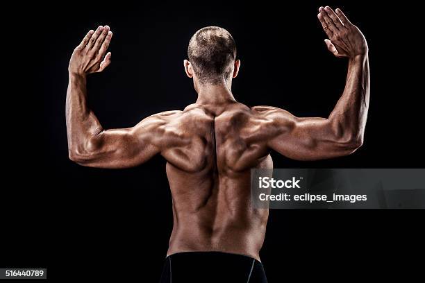 Perfect Body Stock Photo - Download Image Now - Abdominal Muscle, Anaerobic Exercise, Bicep
