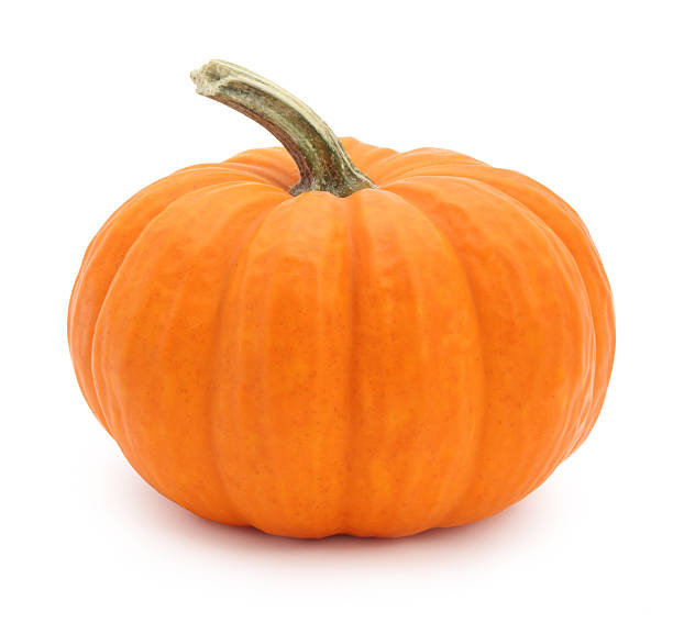 zucca in miniatura - zucca foto e immagini stock