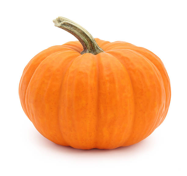 Miniature pumpkin Miniature pumpkin isolated on white squash vegetable stock pictures, royalty-free photos & images