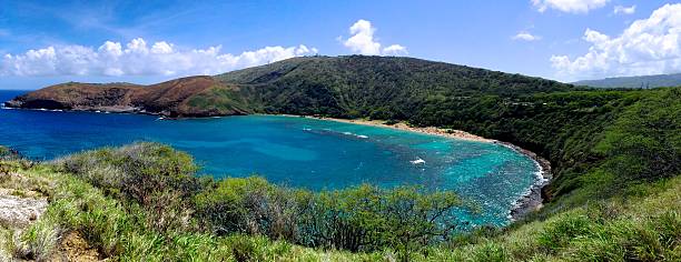 istock Hanauma Bay, Oahu - Hawaii 516441321