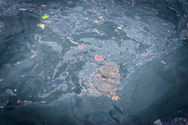 오염시킨다 물. - oil slick pouring chemical oil 뉴스 사진 이미지