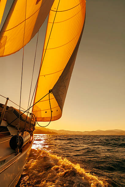 łódź żaglowa crop podczas regaty o zachodzie słońca z widokiem na ocean - sailboat sunset sailing nautical vessel zdjęcia i obrazy z banku zdjęć