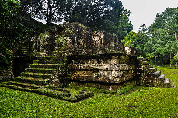 istock Majestic Tikal Ruins, in Guatemala 516443363