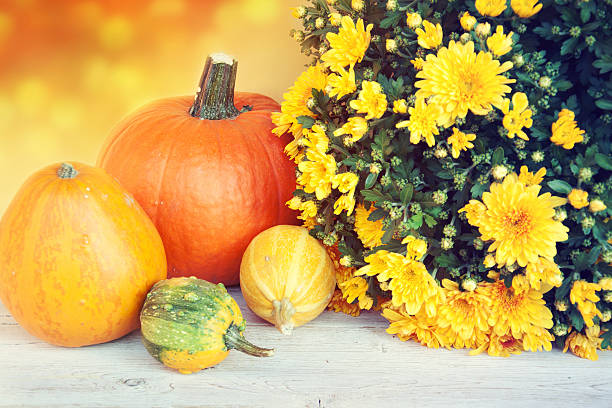 istock Autumn or Thanksgiving Bouquet with pumpkins. 516443393