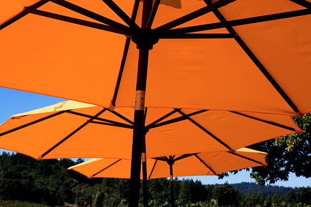 Under The Yellow Sun Umbrellas