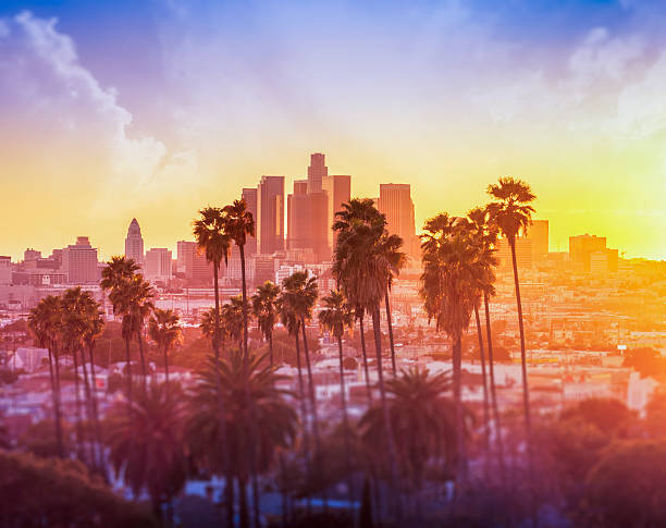 der innenstadt von los angeles, fotografiert im sonnenuntergang - southern california palm tree beverly hills california california stock-fotos und bilder