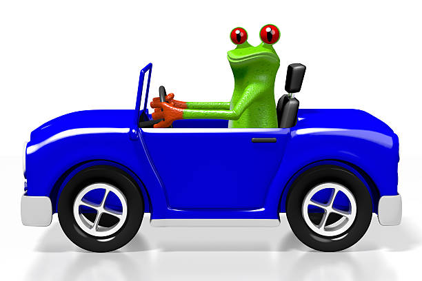Dumpy tree frog