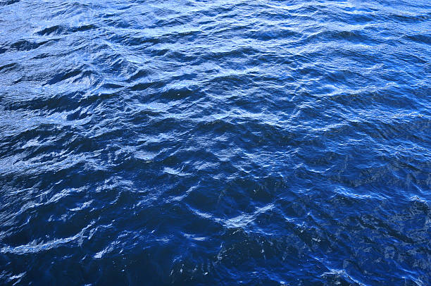 istock The surface of the water, river ripples, river waves. 516449600