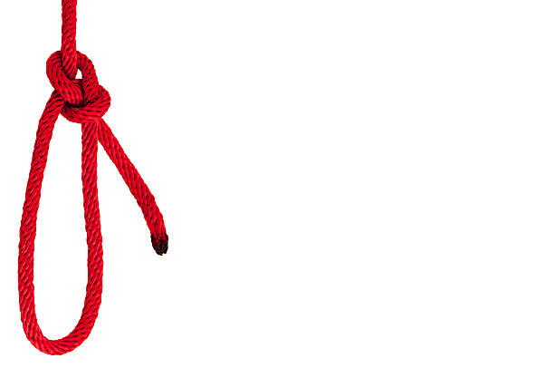 istock Red Rope in A Knot Isolated on White Background. 516452032