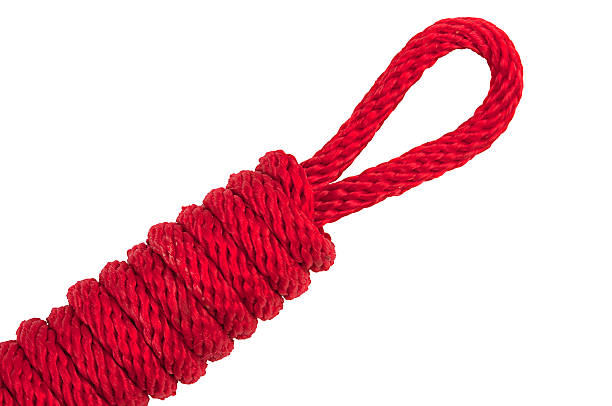 istock Red Rope in A Knot Isolated on White Background. 516452462
