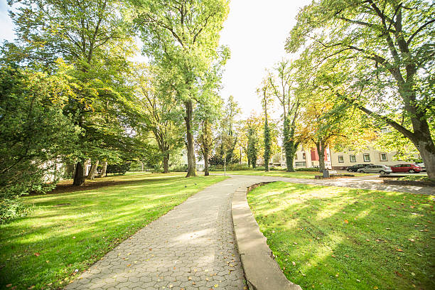 istock Beautiful view to Villingen-Schwenningen 516460931