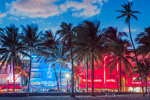 palmen säumen ocean drive. - south beach miami florida night florida stock-fotos und bilder