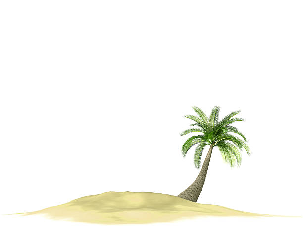 istock 3d render of island with palmtree on white 516462137