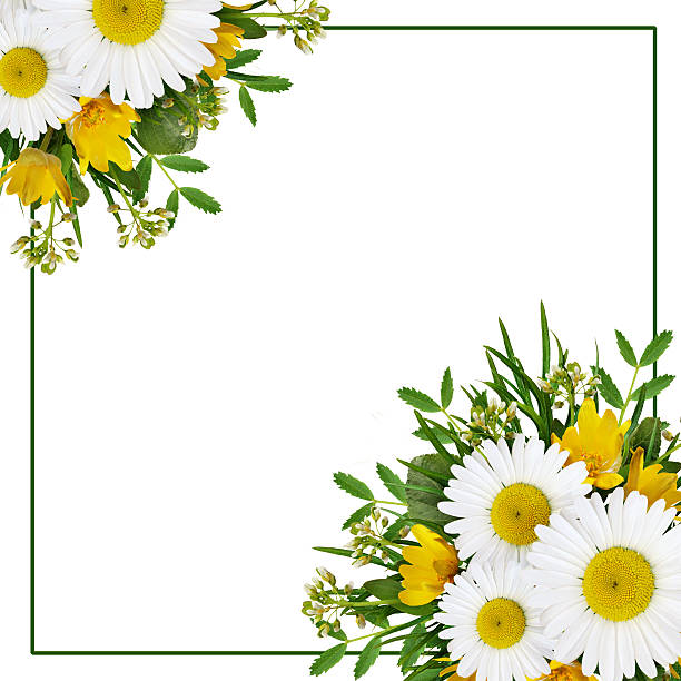 istock Wild flowers arrangement and frame 516464969