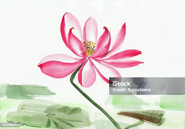 Lotus Flower Watercolor Painting Stock Illustration - Download Image Now - Art, Art And Craft, Asian Culture