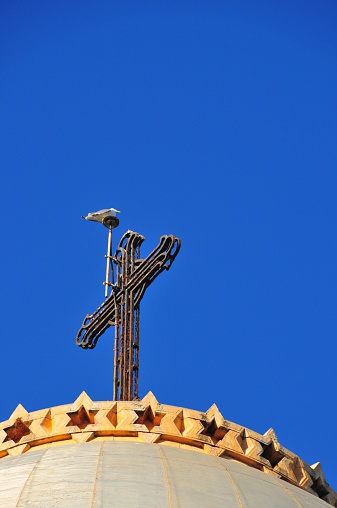 Algiers, Algeria: Our Lady of Africa Catholic basilica - dome, with Stars of David around the metal cross - Lightning rod with a seagul - designed by Jean Eugene Fromageau - photo by M.Torres