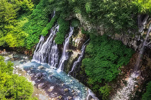 Shirohige waterfall taken in summer. Biei, Japan.