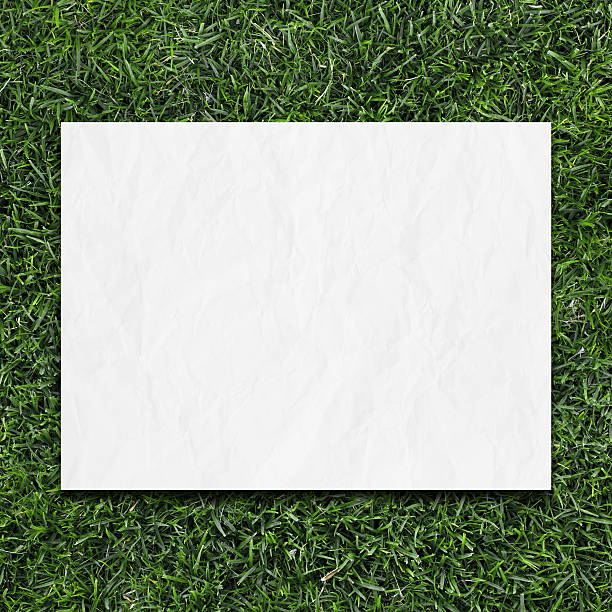 istock green grass and crumpled blank list 516487903
