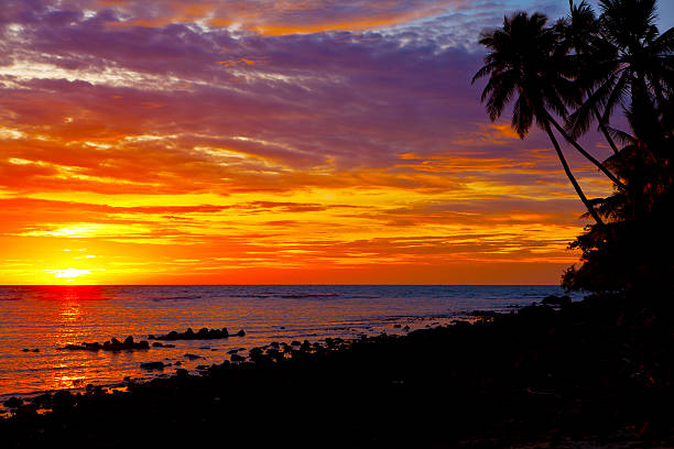 Beautiful tropical sunset, paradise looking beach and ocean with palm trees. Thailand, Ko Phangan.