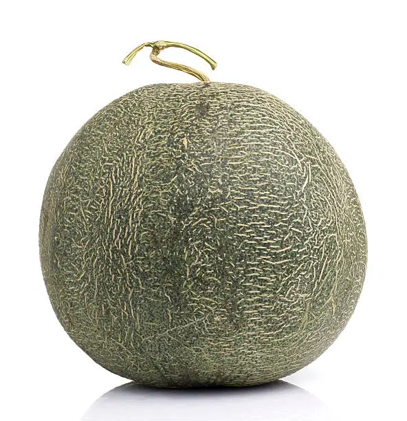 Photo of Japanese Melon on White background