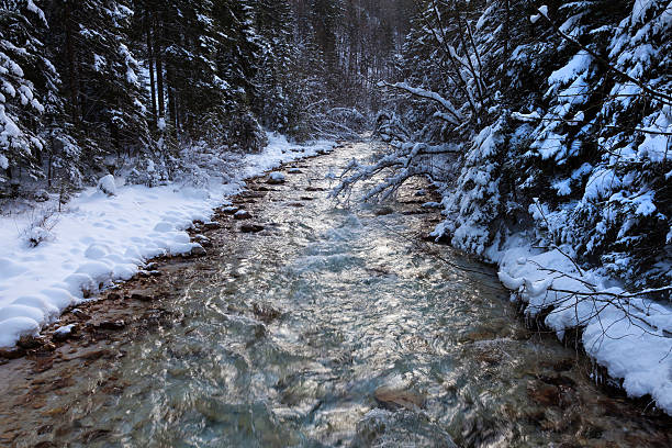 istock Winter in vrata - Valley, Slovenia 516490384