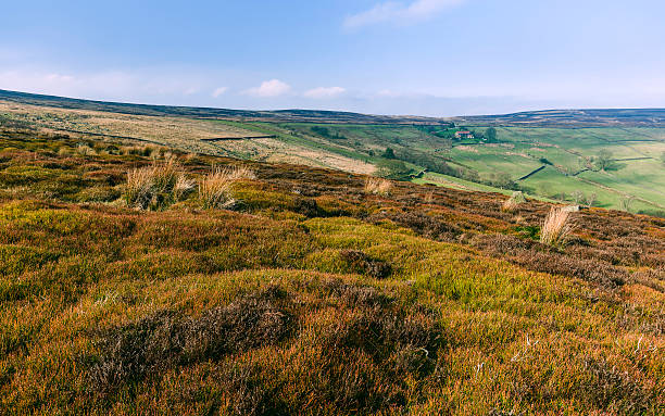 istock Sunset over the North York Moors, Yorkshire, UK. 516494864