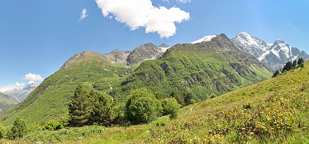 istock Mountain covered with plants with snow on top 516495934