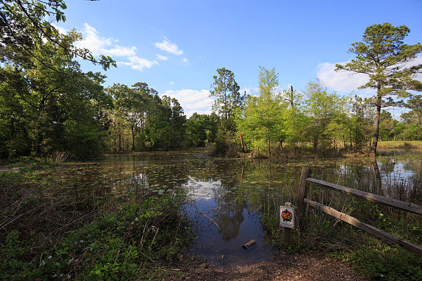 istock Houston Arboretum Nature Center landscape view 516495990