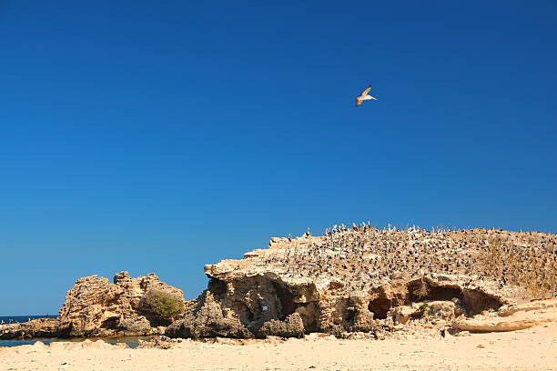 Summertime in Western Australia close to Perth.