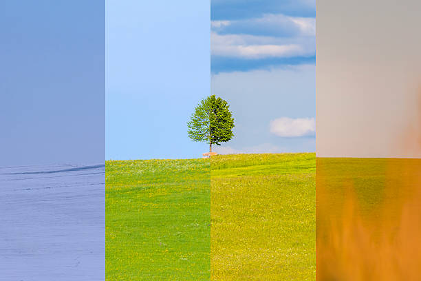 istock Climate change winter spring summer fall time over the year 516499944