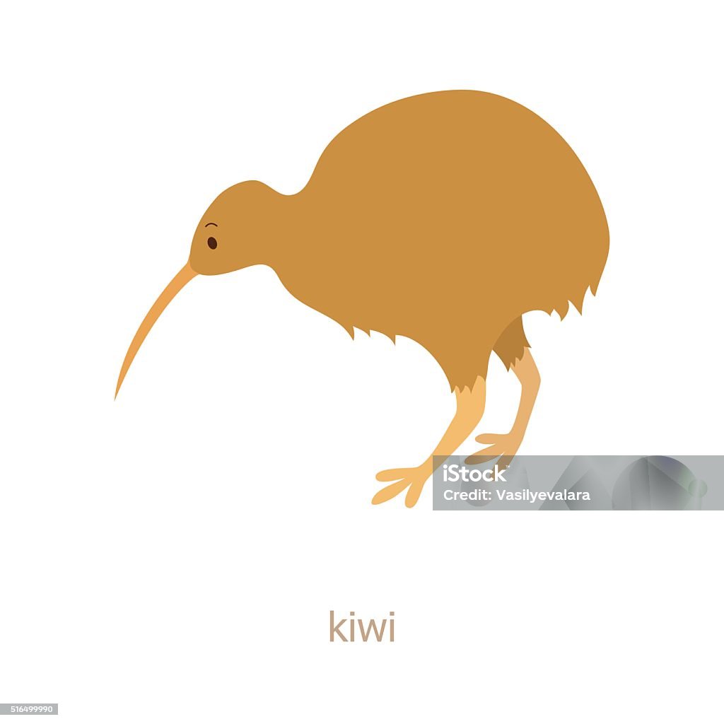 Kiwi Cartoon Character Stock Illustration - Download Image Now - Kiwi Bird,  Bird, Vector - iStock