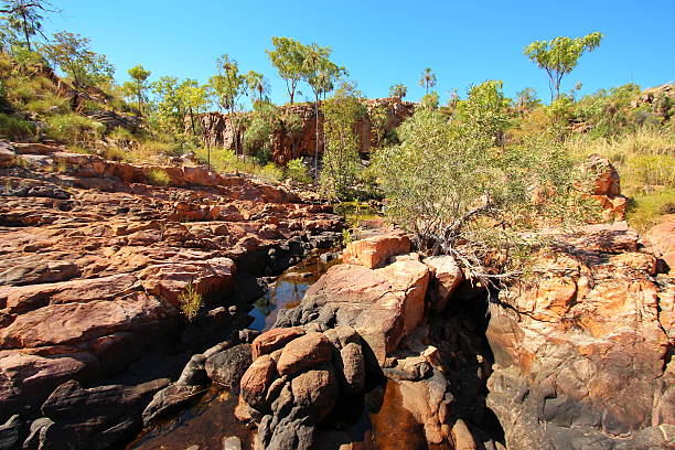 istock Katherine Gorge national park 516504054