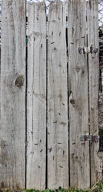 istock Texture of old wood 516504066