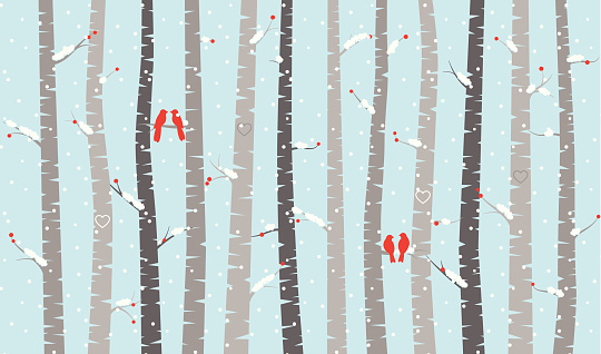 Vector Birch or Aspen Trees with Snow and Love Birds. No transparencies or gradients used. Large JPG included. Each element is individually grouped for easy editing.