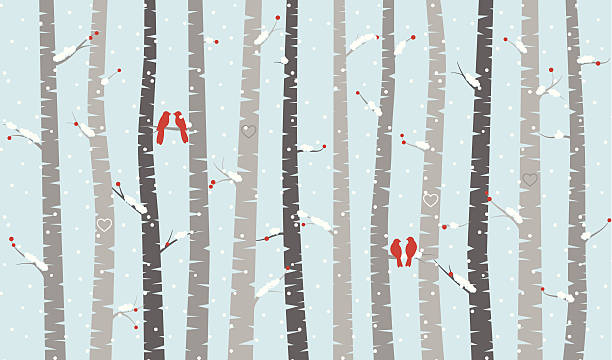 Vector Birch or Aspen Trees with Snow and Love Birds Vector Birch or Aspen Trees with Snow and Love Birds. No transparencies or gradients used. Large JPG included. Each element is individually grouped for easy editing. northern cardinal stock illustrations