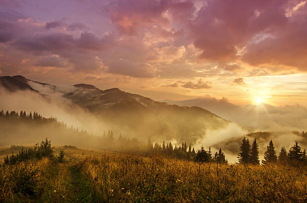 istock Foggy morning  landscape 516505545