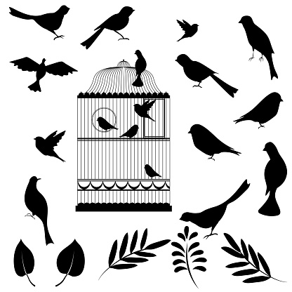 Vector illustration, of bird cage with birds and floral elements for your design 