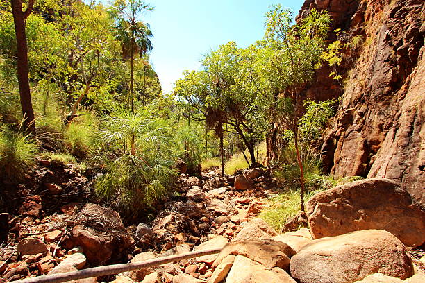 istock Katherine Gorge national park 516505830
