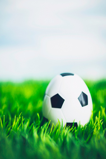 Soccer shaped Easter egg hidden in grass