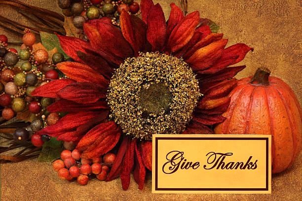 istock Holiday: Thanksgiving Still Life with Pumpkin, Sunflower, give Thanks Note 516507153
