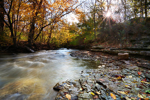 A creek flows in Autumn in northern Illinois with the sun shining through the trees
