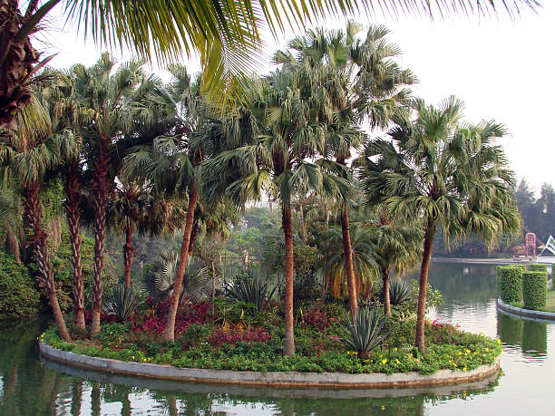 istock Green island in a garden 516507435