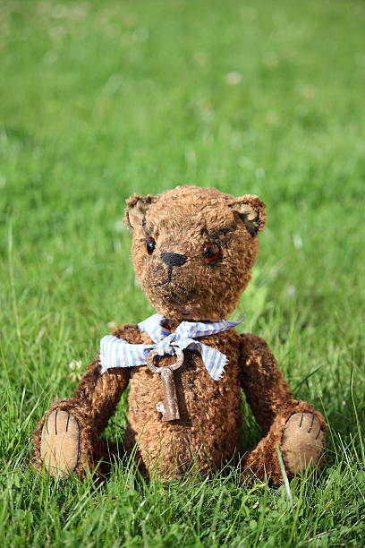 istock Cute brown teddy bear in the garden 516507645