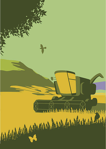 Combine Harvester in countryside Retro style landscape with combine harvester. CS3 and CS5 versions. rolling landscape stock illustrations